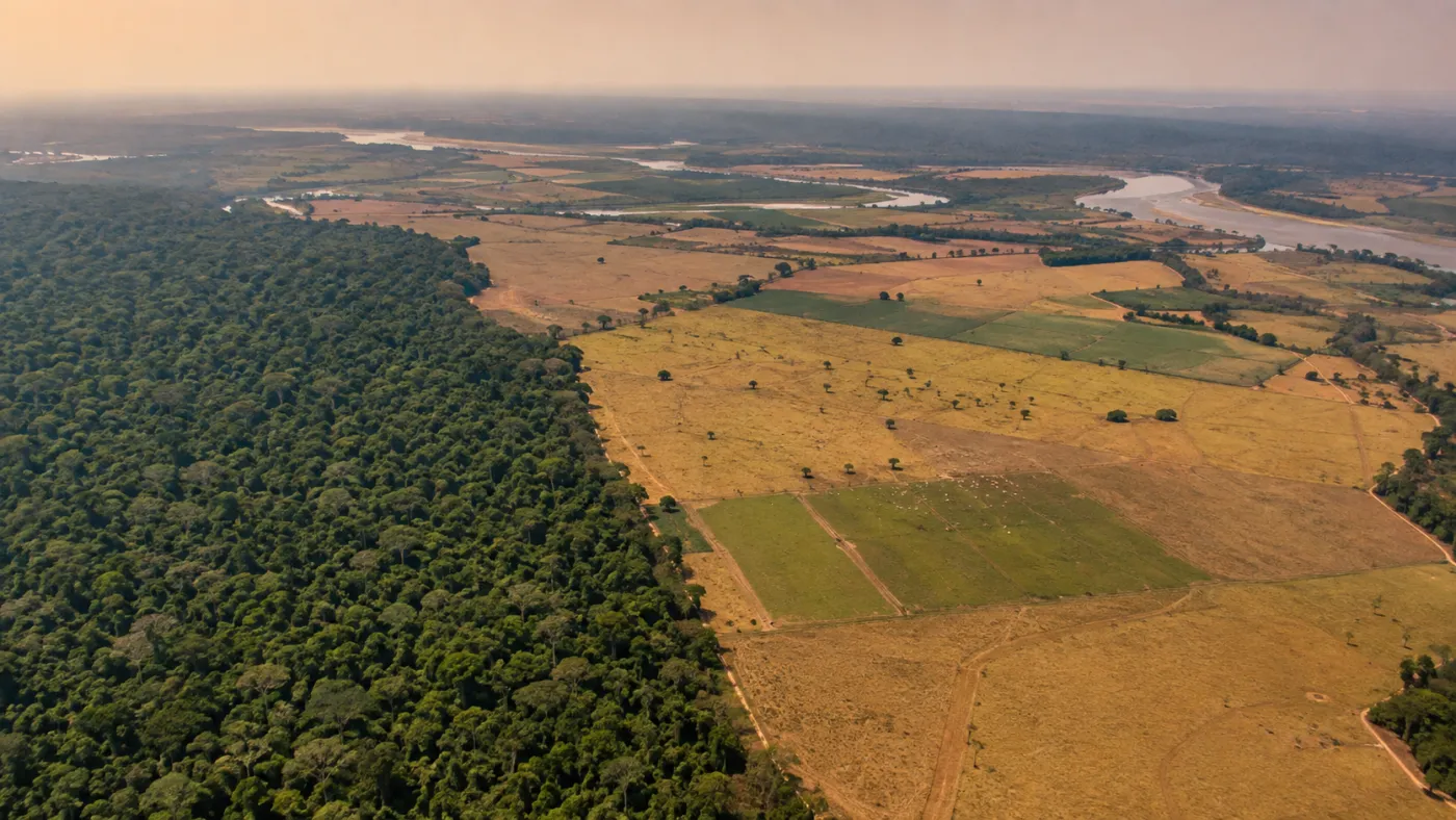 Levantamento do MapBiomas aponta redução da vegetação nativa brasileira e maior vulnerabilidade de áreas alteradas aos efeitos extremos do El Niño. Foto: imagem ilustrativa