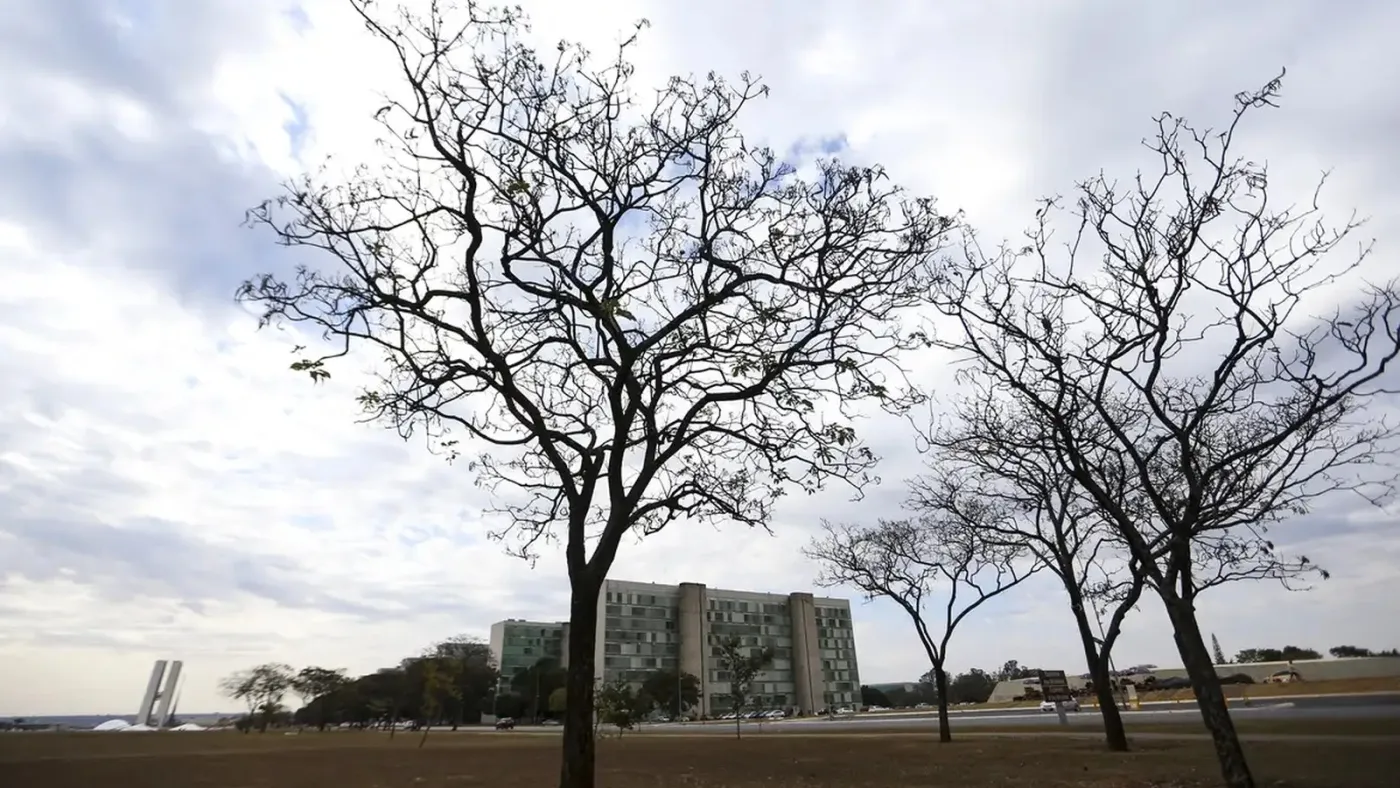 Brasília enfrenta período de baixa umidade, com vegetação ressecada na área central da capital. Foto: Marcelo Camargo/Agência Brasil.