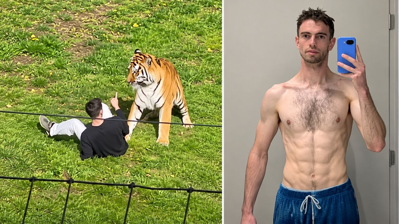William Chapman, ex-ator mirim britânico, morreu aos 23 anos após entrar no recinto de um tigre no Yorkshire Wildlife Park,