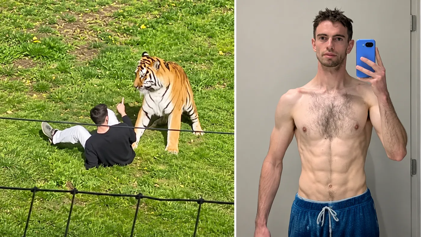 William Chapman, ex-ator mirim britânico, morreu aos 23 anos após entrar no recinto de um tigre no Yorkshire Wildlife Park, na Inglaterra.