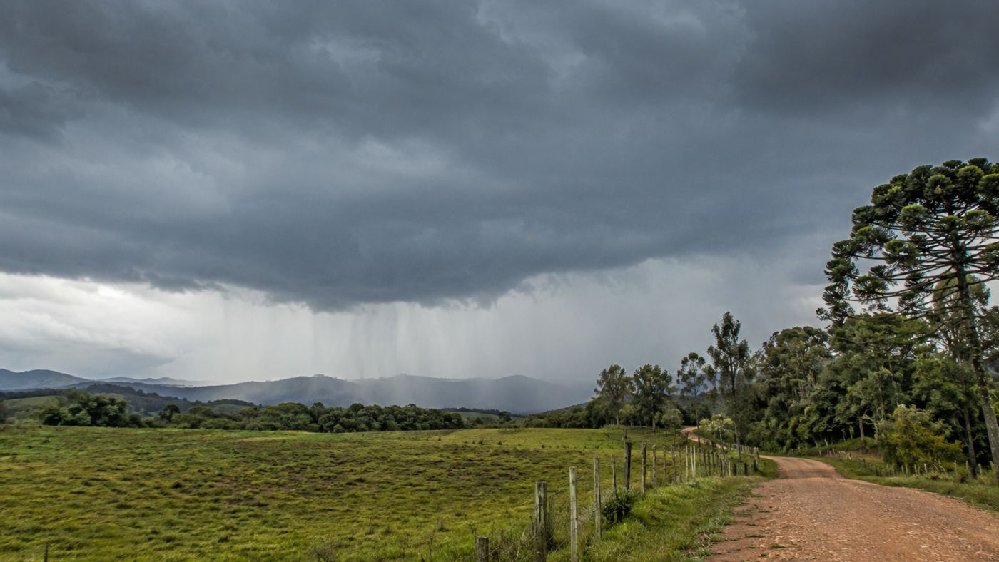 Frente fria avança pela Região Sul, com previsão de chuva, queda de temperatura e geada.