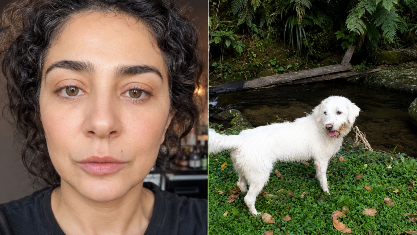 Justiça determinou que o cachorro Bertholdo seja devolvido aos atores Letícia Sabatella e Daniel Dantas. -
