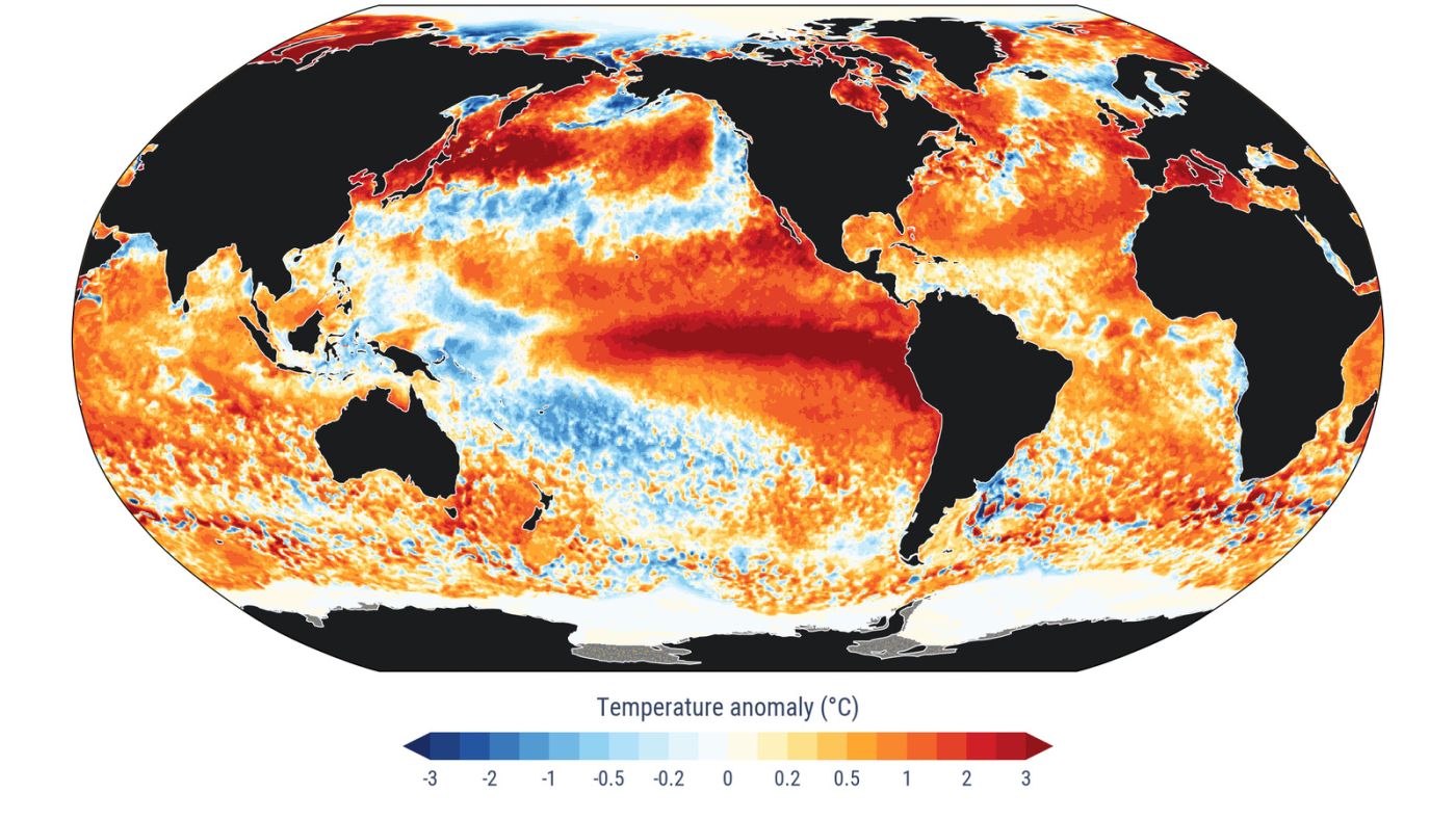 Anomalias de temperatura na superfície do mar em 22 de agosto. Fonte: Copernicus/ECMWF.