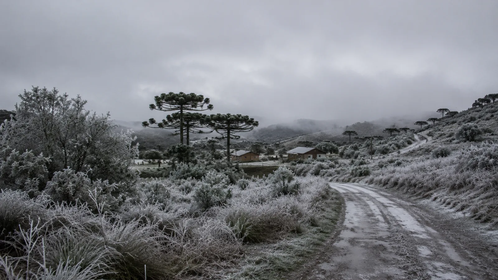 Massa de ar polar deve provocar frio intenso, geada e possibilidade de neve em áreas de maior altitude do Sul do Brasil.