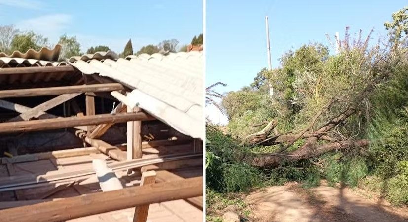 Destelhamento e árvore caída em São Martinho da Serra — Foto: Divulgação/ Defesa Civil de São Martinho da Serra
