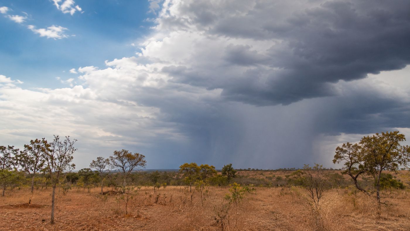 Setembro deve começar a trazer os primeiros episódios de chuva para áreas do Brasil Central após um longo período de tempo