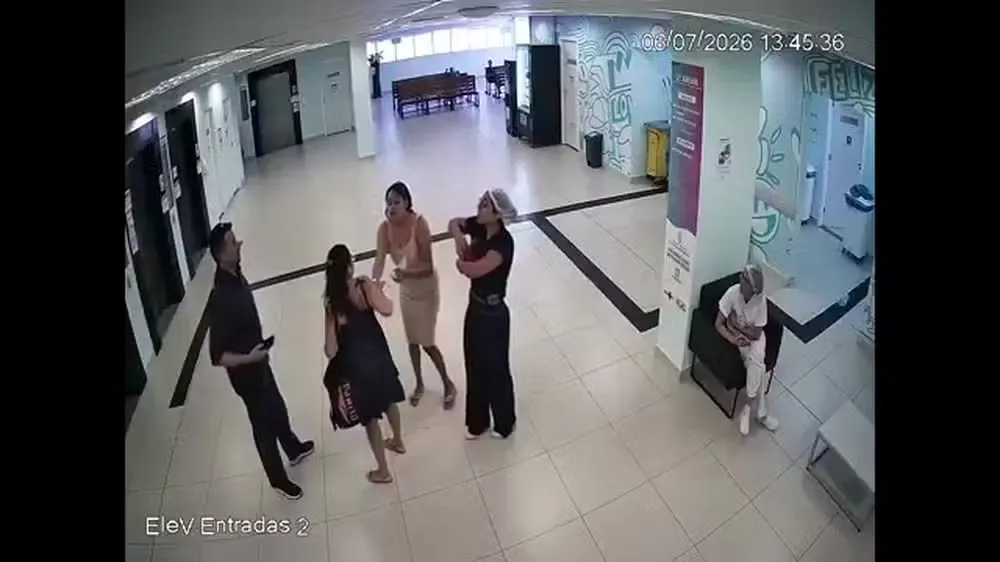 'Quando puxei a bolsa, a bebê estava lá', relembra tia que evitou sequestro em maternidade no Piauí; vídeo mostra ação — Foto: Reprodução/TV Globo